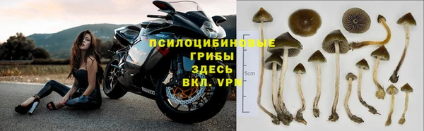 ГАЛЛЮЦИНОГЕННЫЕ ГРИБЫ Слюдянка