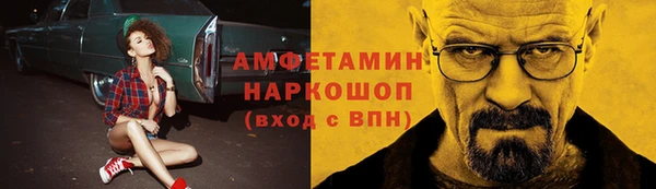 индика Снежинск