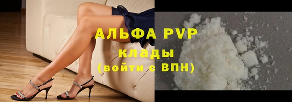 прущие грибы Белоозёрский