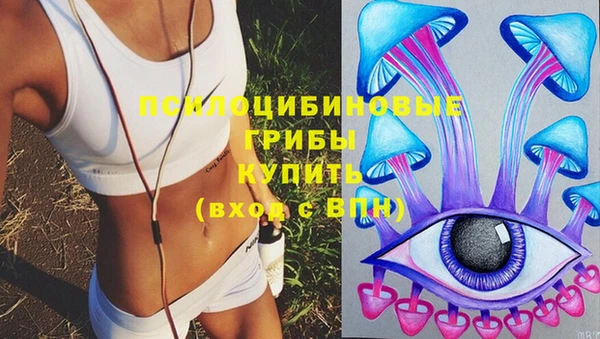 прущие грибы Белоозёрский
