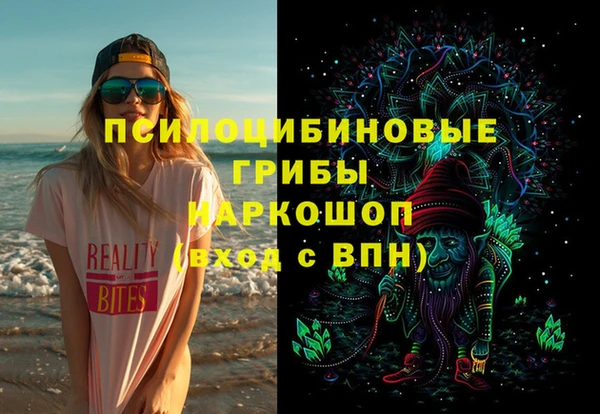 прущий лед Белокуриха