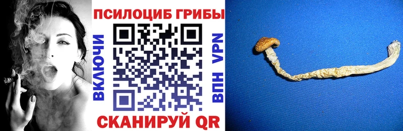 Галлюциногенные грибы MAGIC MUSHROOMS  mega   дарк нет наркотические препараты  Дагестанские Огни 
