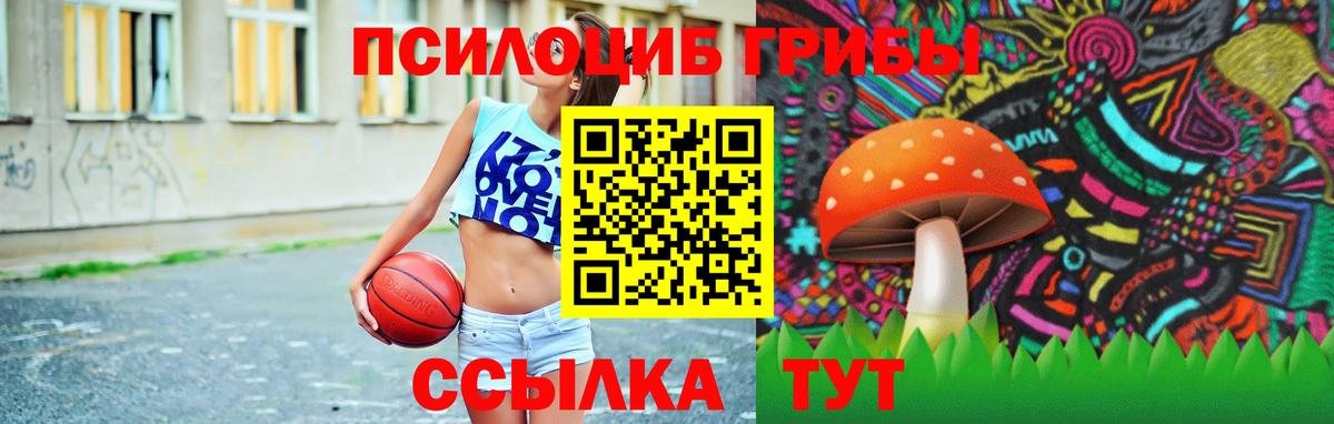 Псилоцибиновые грибы мицелий Дагестанские Огни